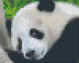 Panda 1 Baseplate Kit