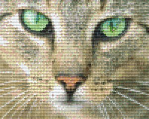 Green-Eyed Cat 4 Baseplate Kit