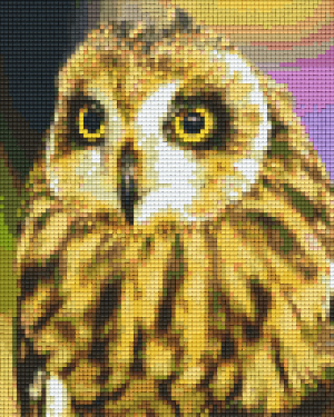 Owl Chick 4 Baseplate Kit