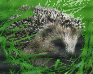 Hedgehog 4 Baseplate Kit