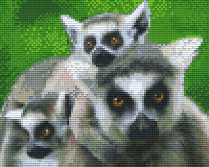 Ring-Tailed Lemurs 4 Baseplate Kit
