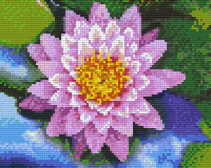 Water Lily 4 Baseplate Kit