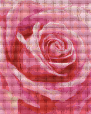 Pink Rose 4 Baseplate Kit