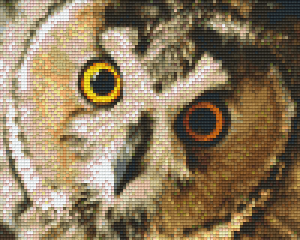 Owl 4 Baseplate Kit
