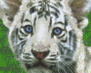 White Tiger Cub 4 Baseplate Kit