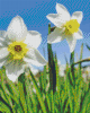 White Daffodils 4 Baseplate Kit