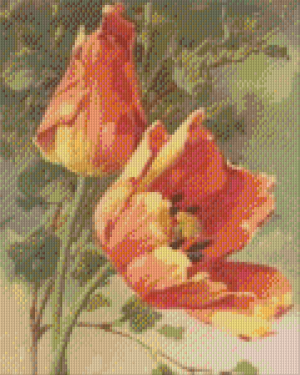 Antique Tulips 9 Baseplate Kit