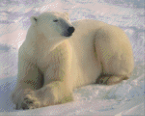 Polar Bear 9 Baseplate Kit