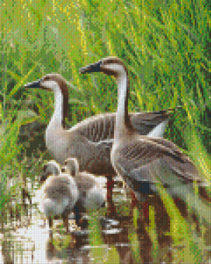 Geese Family 9 Baseplate Kit