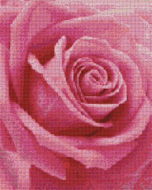 Pink Rose 9 Baseplate Kit