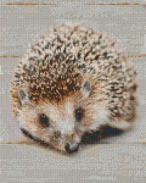 Hedgehog 9 Baseplate Kit
