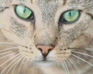 Cat with Green Eyes 9 Baseplate Kit