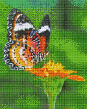 Orange Butterfly 9 Baseplate Kit