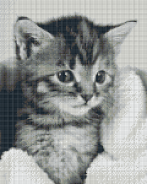 Kitten in Blanket 9 Baseplate Kit