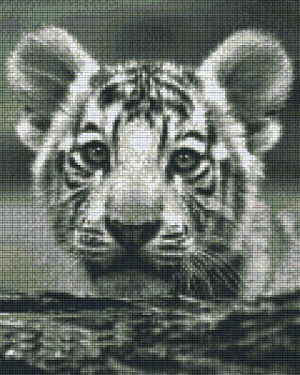Tiger Cub 9 Baseplate Kit