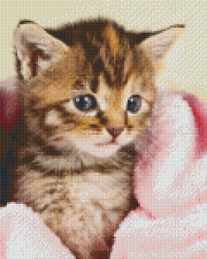 Kitten in Pink Blanket 9 Baseplate Kit