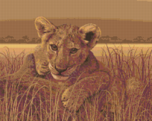 Lion Cub 16 Baseplate Kit