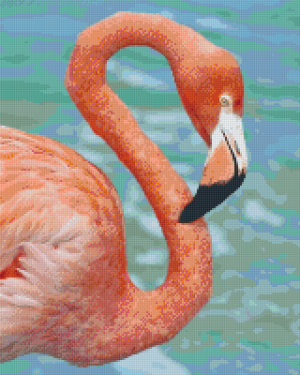Flamingo 16 Baseplate Kit
