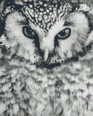 Owl 16 Baseplate Kit